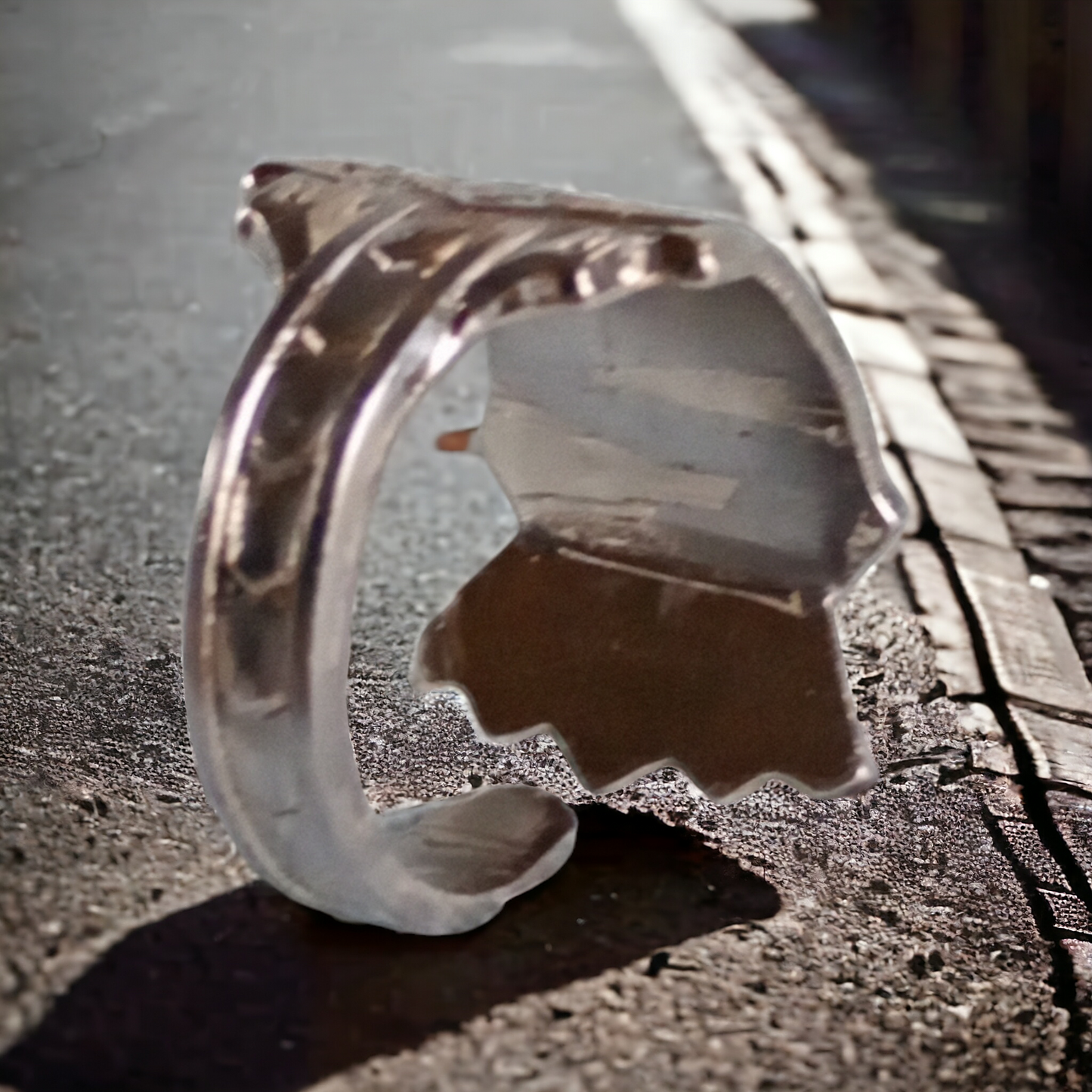 Rings of The Netherlands